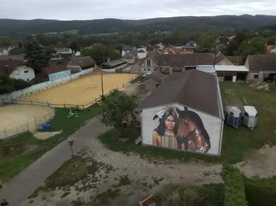 Reitanlage mit Roundpen — Trainingsplatz von Anima Equus