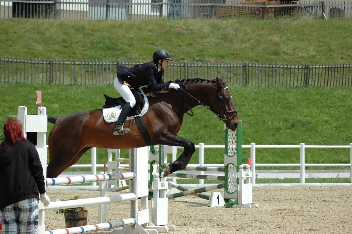 Springreiten über ein Hindernis