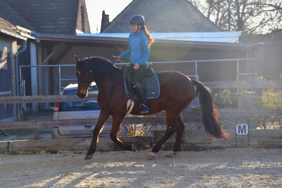 Reittraining in der Halle