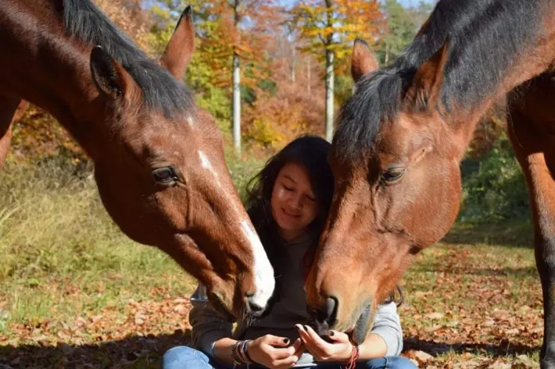 Trainerin mit ihren Pferden im Herbstwald